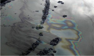 ‘Poaching’ Row In Legal Battle Over Nigerian Oil Spill