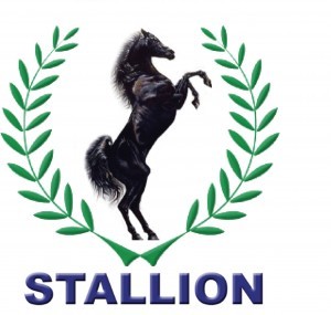 Stallion Group Targets 1.5m Tonnes Of Rice Production
