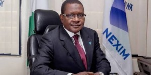 We Lack Resolve To Follow Due Process For Export – NEXIM Bank Boss