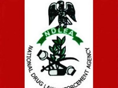 How NDLEA Was ‘Smuggled’ Into The Ports - Presidential Port Reforms committee members explain 