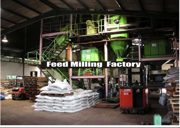 Understanding The Operating  Standards  For  The  Feed  Milling  Industry