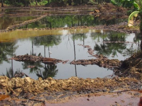 Oil Spills Linked to Infant Deaths in Niger Delta