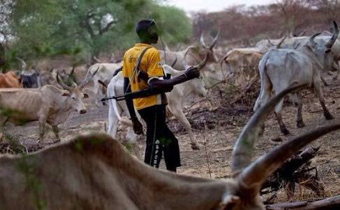 Curbing The Incessant Fulani Herdsmen Massacre In Nigeria