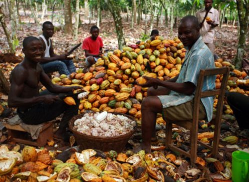 Cocoa: Exploring The Huge Global Market For Chocolate Products
