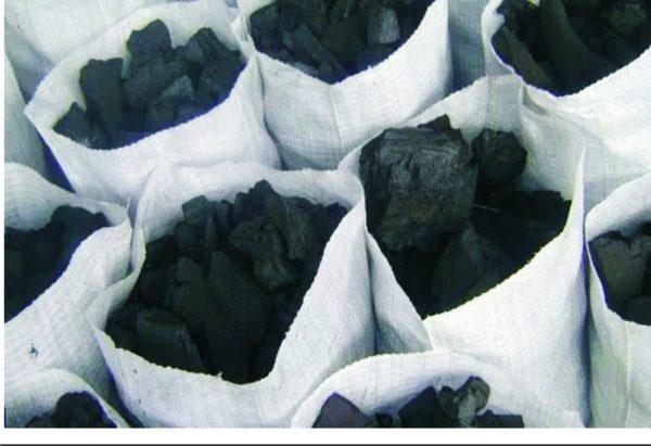 How To Begin A Lucrative Charcoal Export Business