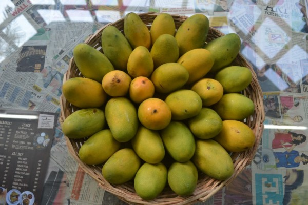How To Maximize Potentials For Mango Exports
