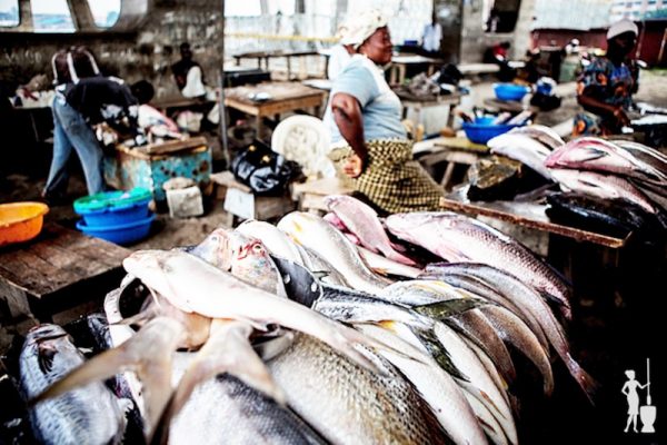 Nigeria Spends N288bn on Fish Importation Annually