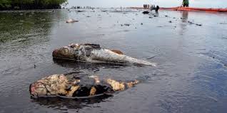 FG, others plan N1.7tn investment in Niger Delta