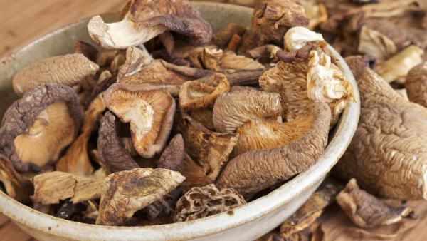 Exporting Dried Mushrooms To Europe
