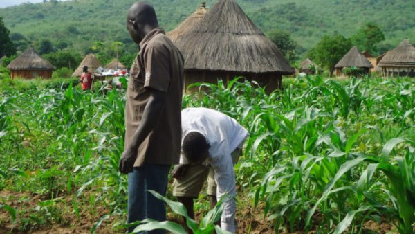 U.S. invests N8.6 billion to boost small-scale farming in Nigeria