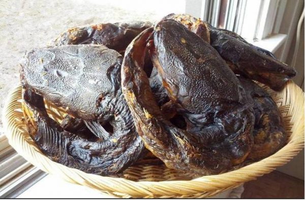 How To Start Dried And Smoked Catfish Business In Nigeria