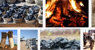 How To Explore Charcoal Export Business In Nigeria