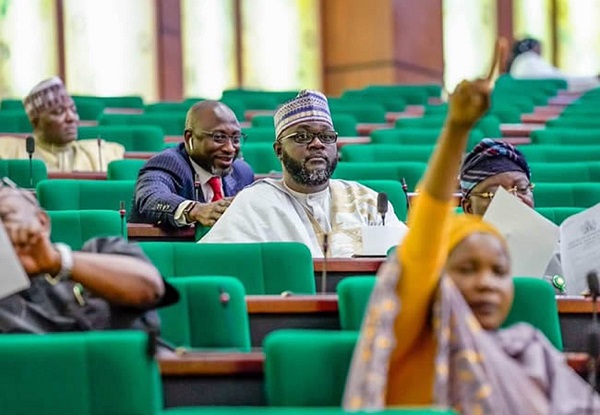 Constitution amendment: Reps propose independent candidacy