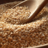 How to Start a Sesame Seed Export Business in Nigeria