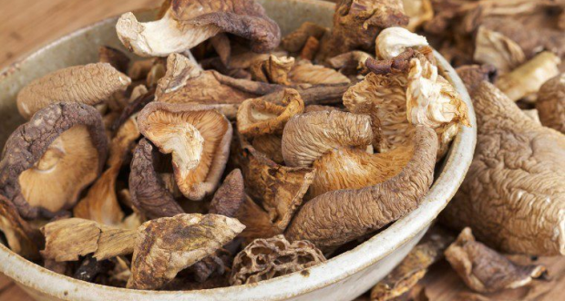 Exporting Dried Mushrooms To Europe
