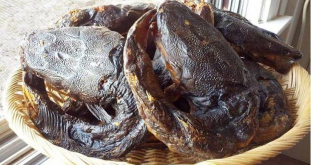How To Start Dried And Smoked Catfish Business In Nigeria