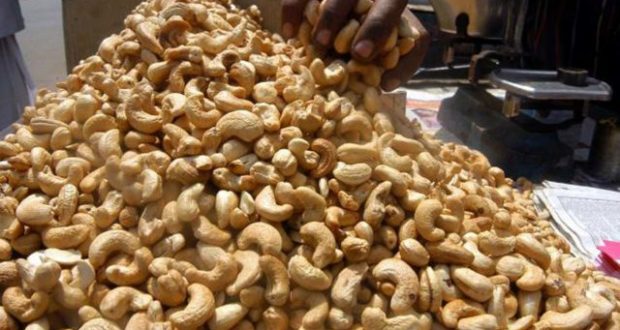 Neighbouring countries, cabals sabotaging Nigeria’s cashew export