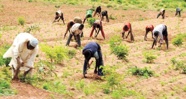 IDB, others earmark $520m for Nigeria’s agro-industrial zones