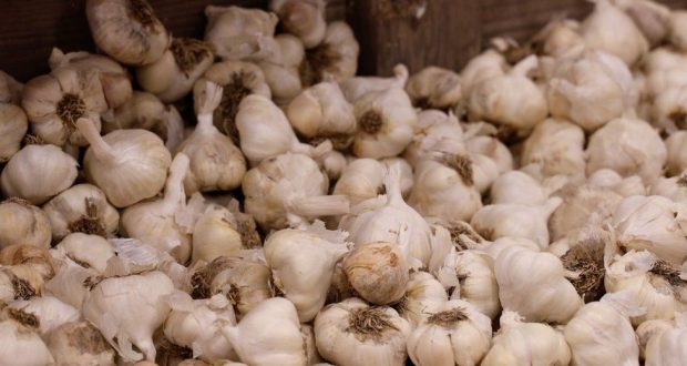 How  Coronavirus Outbreak in China May Affect U.S. Garlic Market:The Nigeria’s Fear