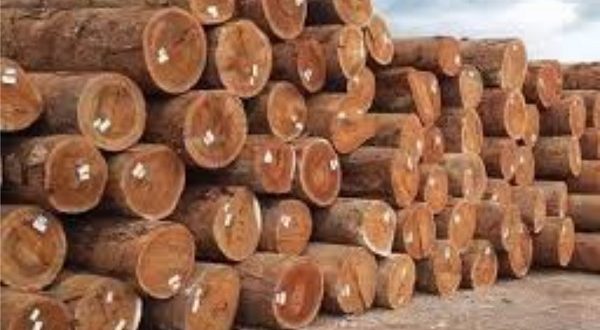 How To Export Charcoal And Timber From Nigeria