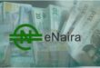 e-Naira: Taking agriculture in Nigeria to new technological heights