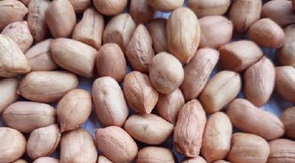 How To Develop Groundnuts Export Business In Nigeria
