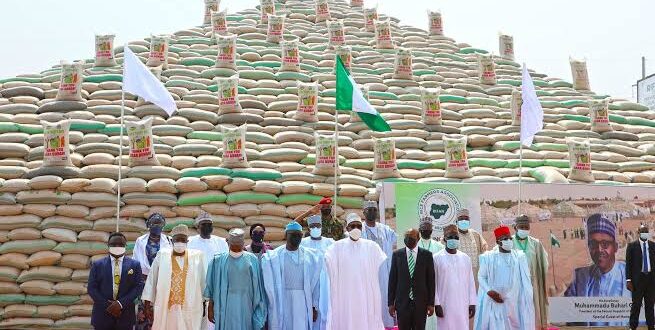 Many Controversies On Buhari’s Rice Pyramids