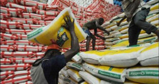 FG Begins Sale Of 50kg Rice For N40,000