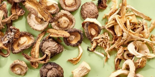 How To Export Dried Mushrooms To Europe