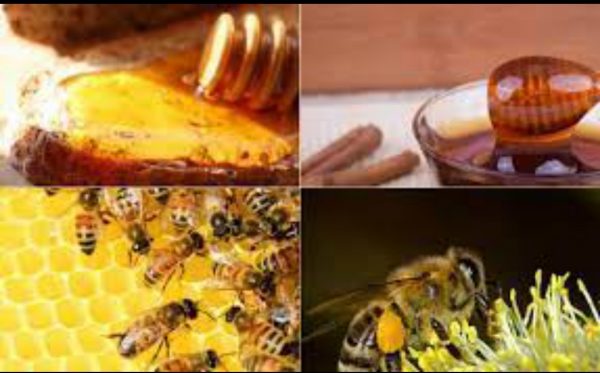 How To Set-Up A Profitable Honey Export Business