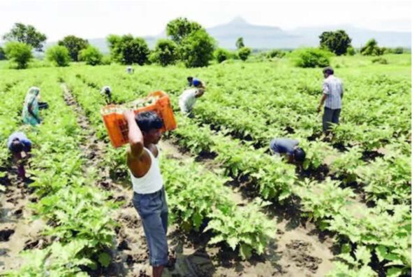 FG warns farmers against selling government-provided inputs