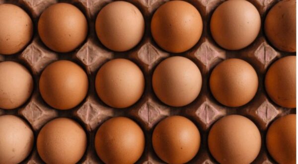 HOW TO START A LUCRATIVE EGG SUPPLY AND DISTRIBUTION BUSINESS IN NIGERIA