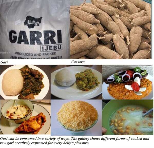 Gari and Cassava production