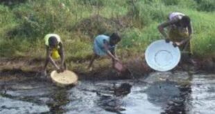 Ogoniland Oil Clean Up And The $1 Billion Unfinish Business
