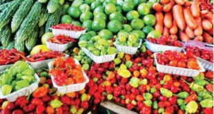 Import dependence worsening food crisis in Nigeria — IMF