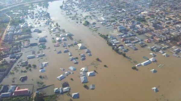 BEAR: Flood - Who Can Rescue Nigeria?