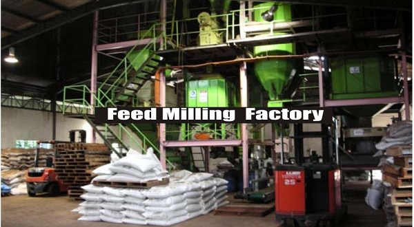 Understanding The Operating Standards For The Feed Milling Industry