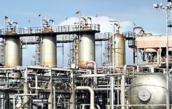 FG lists 213 gas blocks for investment