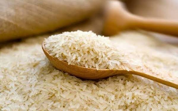 Rice, Maize Production To Slump 11.5% – AFEX
