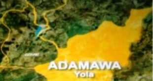 Expelled Adamawa senator not entitled to re-election – Court