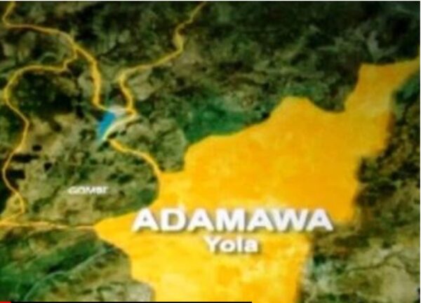 Expelled Adamawa senator not entitled to re-election – Court
