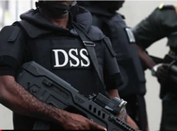 Smuggling: Govt shuts 270 filling stations, deploys DSS