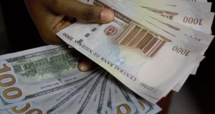 Lite Naira Strengthens To 1,339.33/$ At Official Market