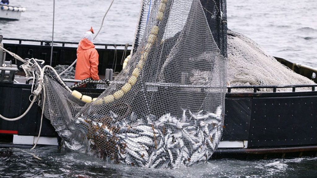 Group Seeks Monitoring Of Maritime Domain To Curb Illegal Fishing