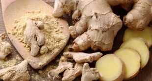 Abuja Farmers, Others Lost N12bn To Ginger Disease – FG