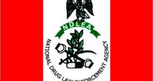 Over 207,976kg Of Drugs Seized At Seaports In 13Months – NDLEA