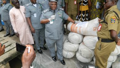 Oyo/Osun Customs Hands Over Fake Drugs , Narcotics To NAFDAC, NDLEA