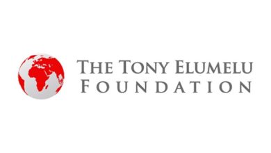 Tony Elumelu Foundation Opens Entries For 2025 Entrepreneurship Programmes