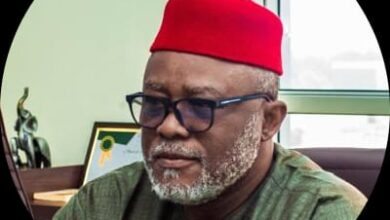 Publishers Should See NPC As Partners, Not Opponents - Ezughah