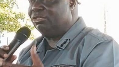 Seme Customs Intercepts Smuggled Lion Cub, Two Patas Monkeys